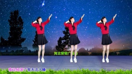 心醉DJ广场舞《灌不醉的寂寞》动感32步