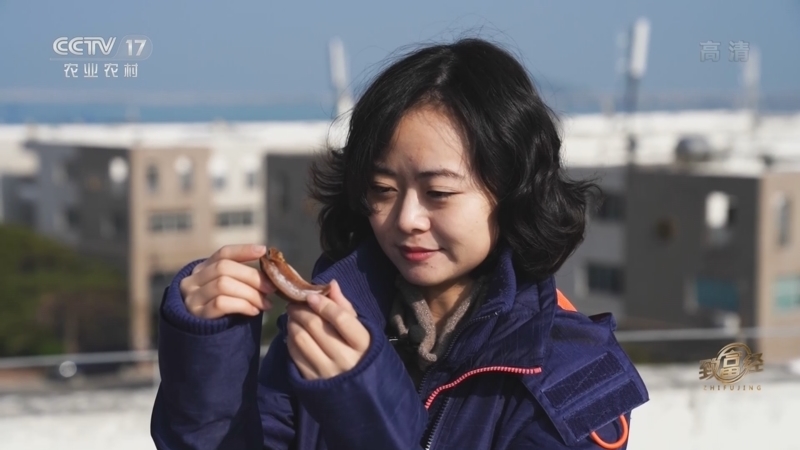 致富经 《致富经》 20220307 草原姑娘 财富梦想在大海