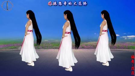 情歌旋律广场舞《阿哥送我金耳环》节奏优美，附教学