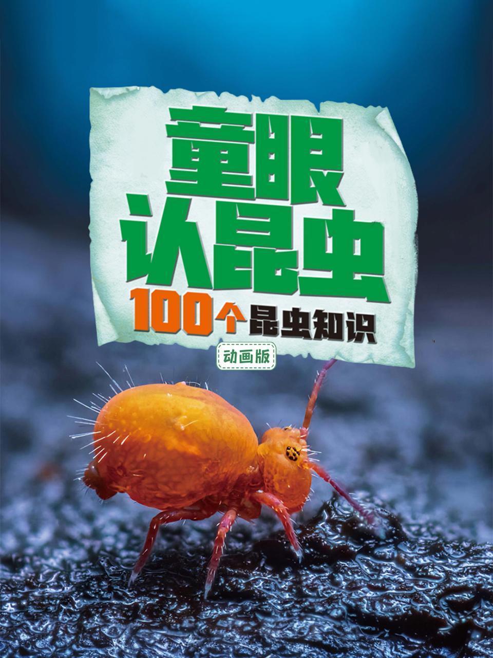 童眼认昆虫：100个昆虫知识动画版