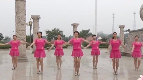 广场舞 广场舞《花开的时候来看我》