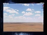 自然传奇 《自然传奇》 20170618 野生动物武器大比拼