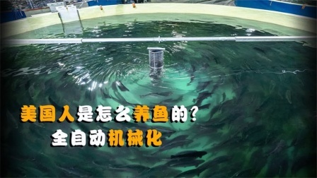 机械控 美国人是怎么养鱼的？全自动机械化，这样的机器靠谱吗