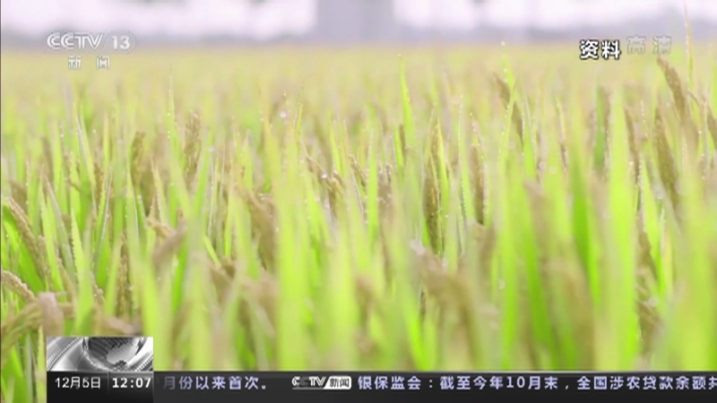 新闻30分 《新闻30分》 20221205