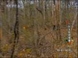 动物世界 动物世界 2010年 第153期