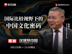 国际比较视野下的中国文化密码