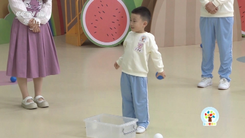 小小智慧树 《小小智慧树》 20250801