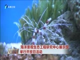 东南晚报 《东南晚报》 20160724