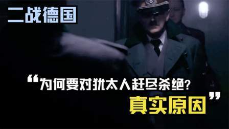 史记文学社第三季 希特勒为何要对犹太人赶尽杀绝？“上帝的选民”对德国做了哪些？