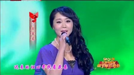 北京卫视2013春晚 王菲菲北京春晚笑迎春