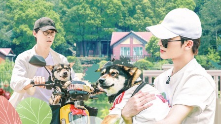 朱正廷带萌狗骑车兜风