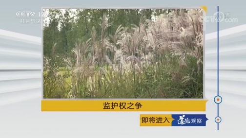 道德观察 《道德观察(日播版)》 20181213 监护权之争