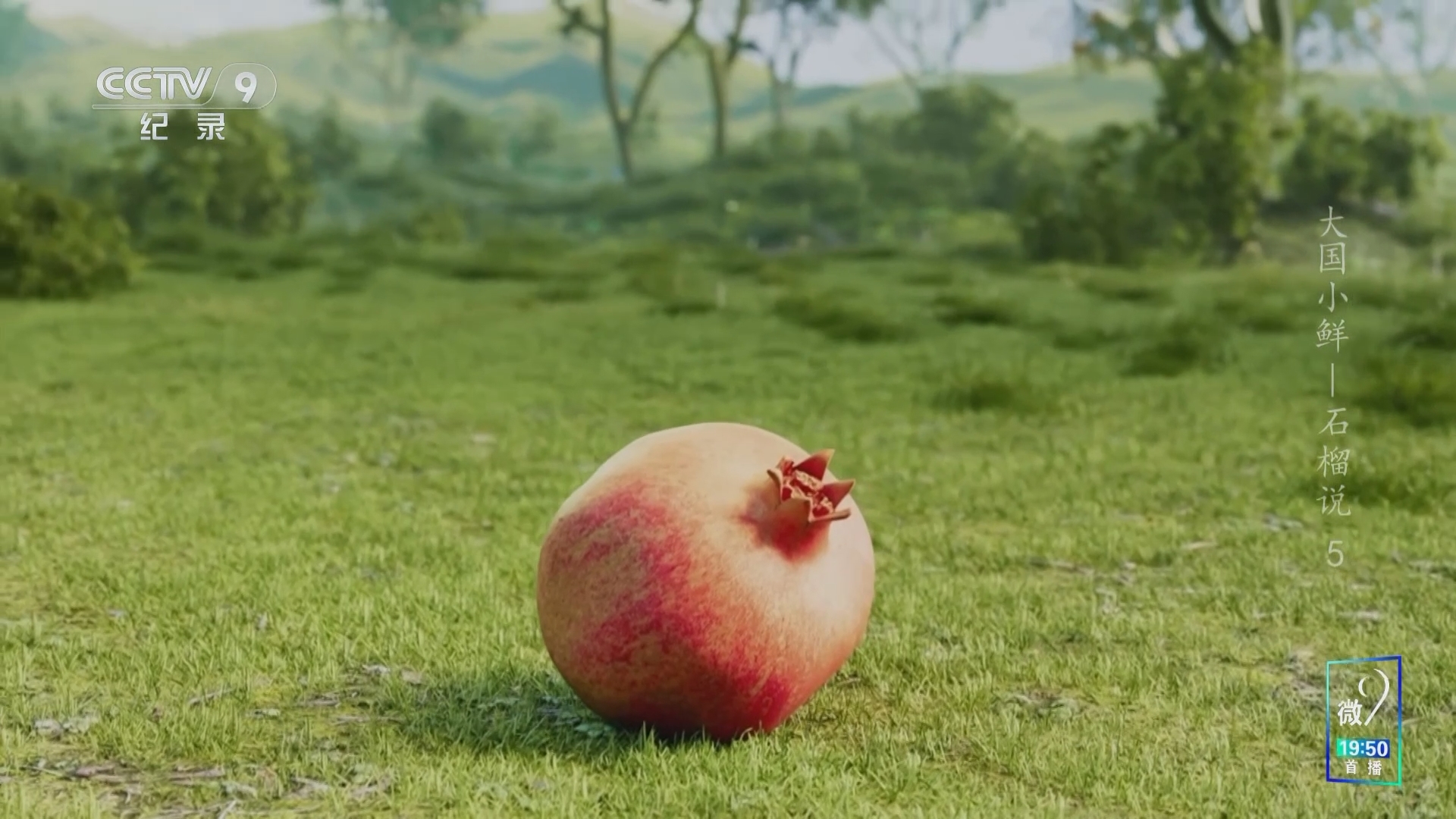 《大国小鲜 石榴说》 第5集