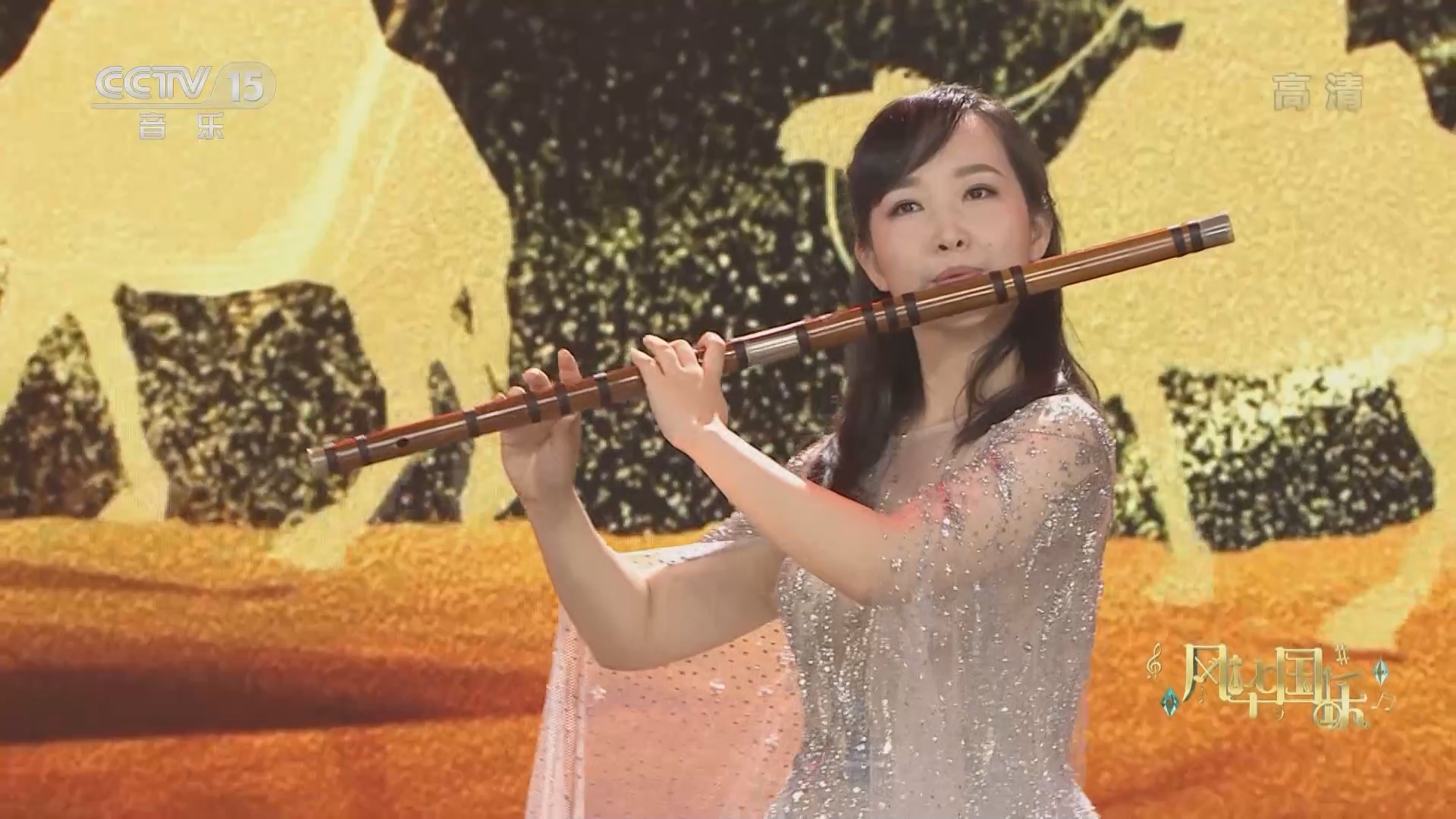风华国乐 《风华国乐》 20220122