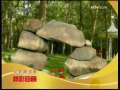 动漫世界 动漫世界 2009年 第167期