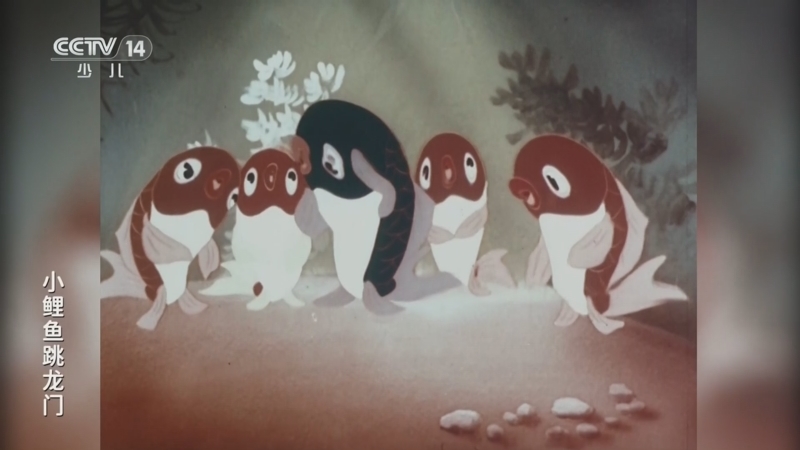 动画大放映 《动画大放映》 20260830 13:30