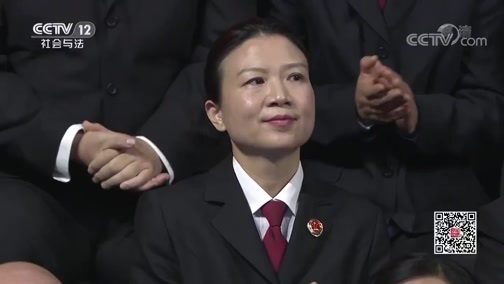 《法治中国说》第二季·大检察官说 20190111 以公益的名义（下）