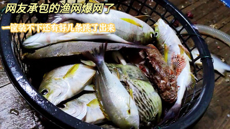 南澳岛赶海日记 网友包网大爆发，满满一筐海鲜不够装，还有好几条渔获跳了出来