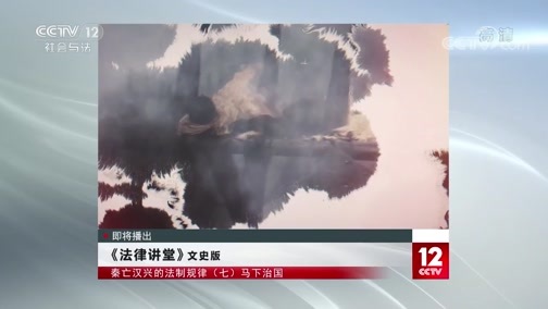 法律讲堂 《法律讲堂（文史版）》 20200616 秦亡汉兴的法制规律（七） 马下治国