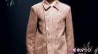 风尚东北亚 杰森 斯坦森确认加盟《速度与激情7》131007
