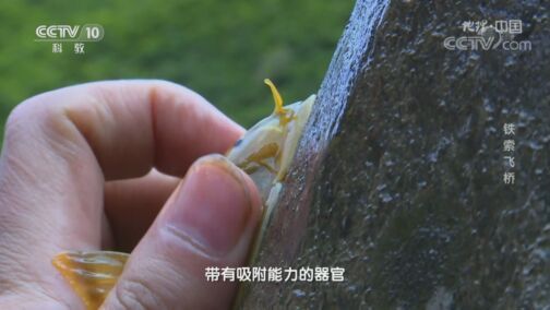 地理中国 《地理·中国》 20200730 铁索飞桥