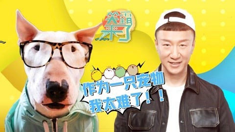 笑霸来了欢畅版 太难了！作为狗子都能撞脸