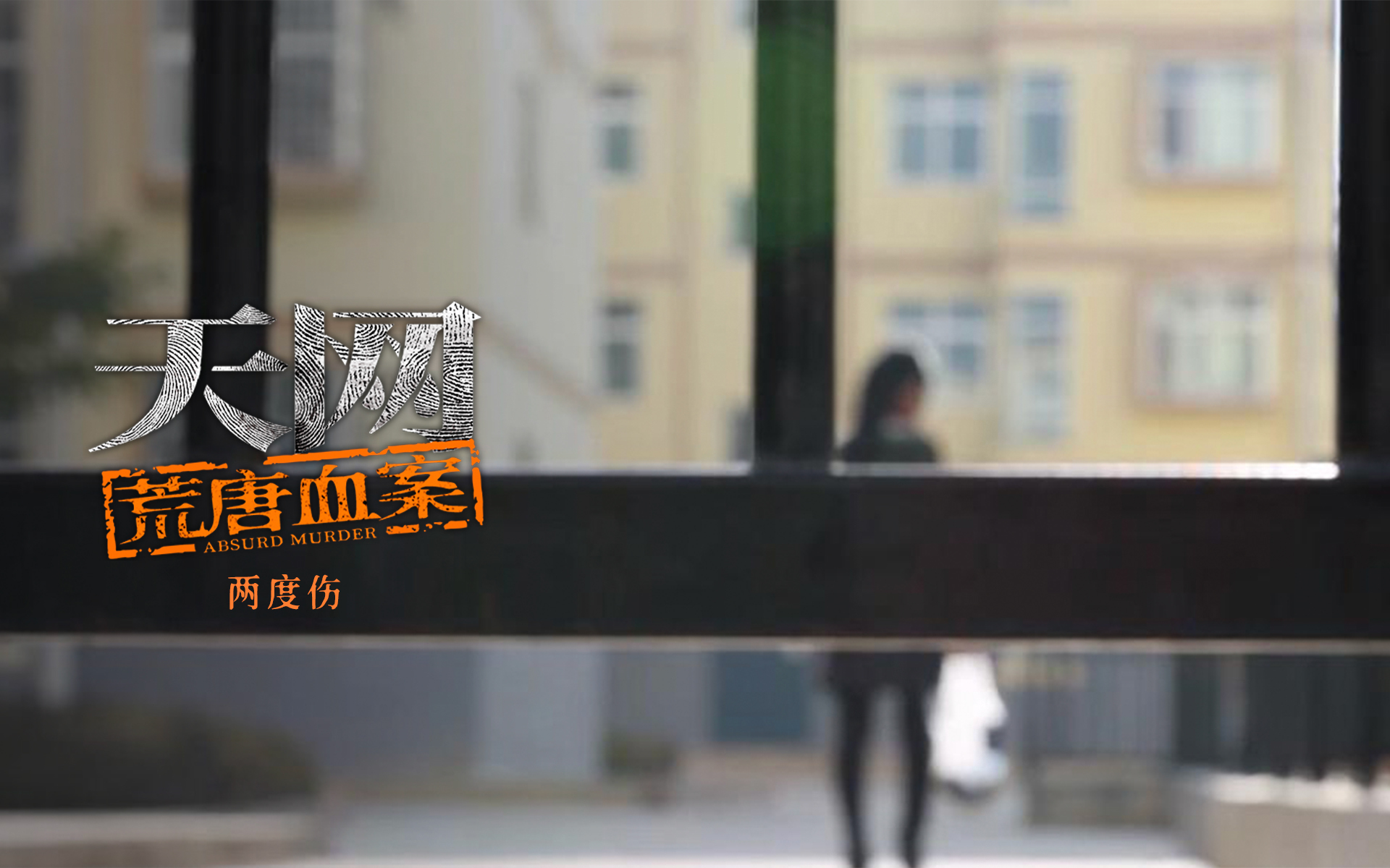 天网:荒唐血案 两度伤