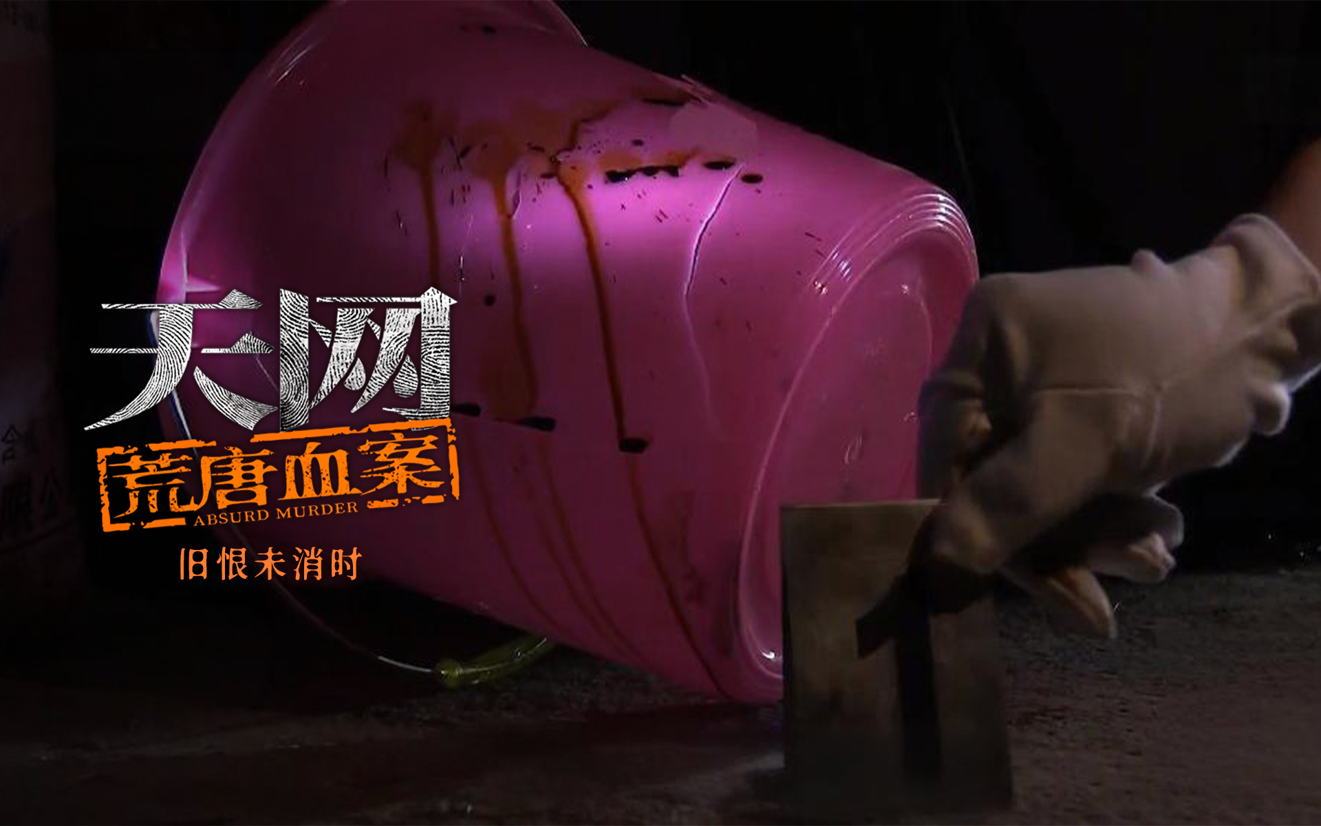 天网:荒唐血案 旧恨未消时