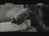 魅力纪录（CCTV-1综合频道） 《魅力纪录》 20131230 《枪》 第五集 狙击枪