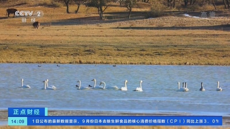 正点财经 《正点财经》 20221021 14:00
