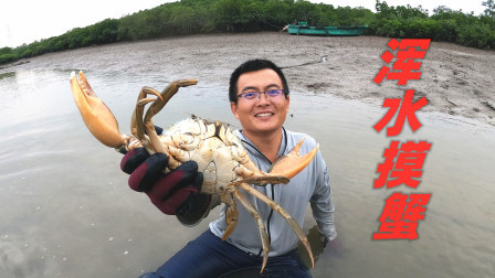 思乡渔夫 浑水摸鱼太刺激，抓半桶螃蟹少说值1000，渔夫螃蟹又吃不完了