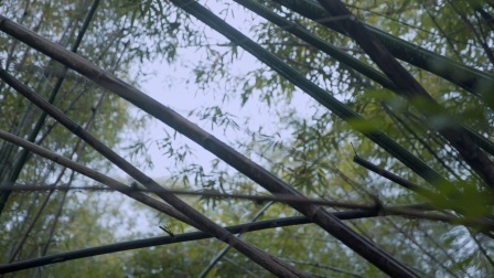 了不起的匠人 第三季 师承自然的花艺美学家，秉承佛系法则