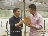 生财有道 [生财有道]仙草引得财富来(20121010)