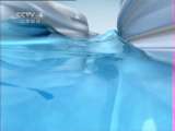 海峡两岸 海峡两岸 2011年 第20期