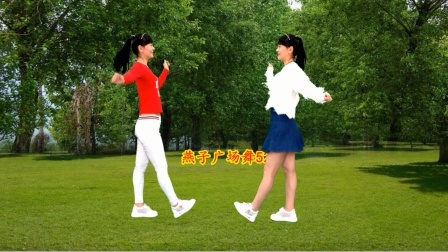 10步对跳广场舞《零度桑巴》快乐的网红步，炸起来吧