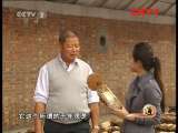 生财有道 《生财有道》 20111028 灵芝老人的灵芝财富