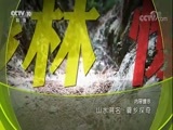 地理中国 《地理中国》 20180103 山水溯名·爨乡探奇