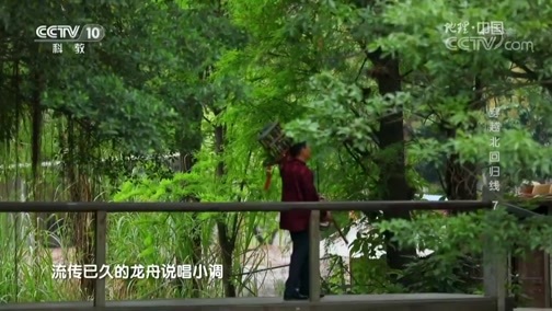 地理中国 《地理中国》 20190615 穿越北回归线 7