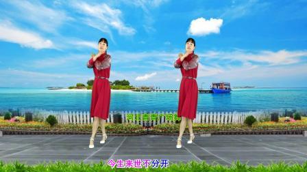 醉心DJ广场舞《情深似海》32步附分解