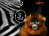 动物世界 《动物世界》 20110819