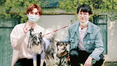 正剑兄弟含泪告别萌宠