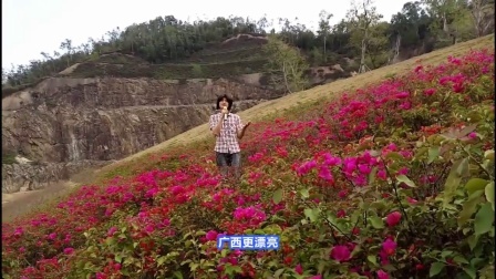 《广西更美丽》改编歌曲