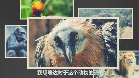 顽客 他用泥土将白暨豚、华南虎做成袖珍模型，不仔细看可能辨不出真假