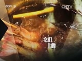 消费主张 《消费主张》 20150813 成本揭秘——胖头鱼“洗澡”价更高？