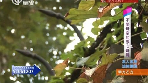 甲方乙方 151222甲方乙方_001