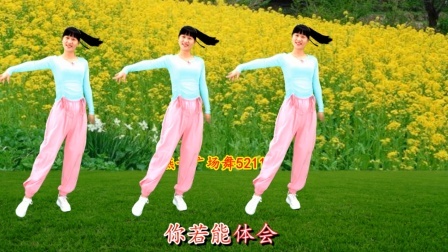 燕子广场舞《酒一喝就醉》DJ舞曲，深情脉脉