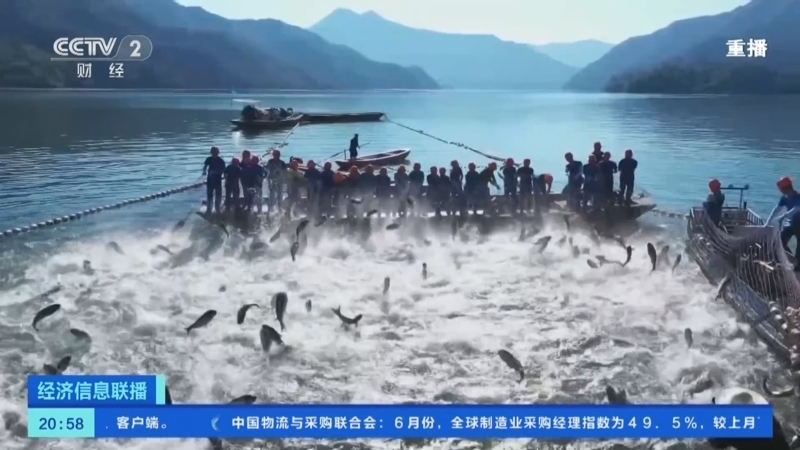 经济信息联播 《经济信息联播》 20240706
