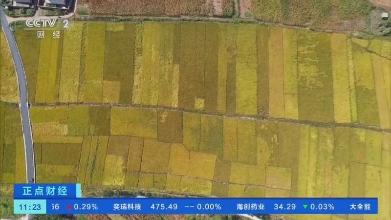 正点财经 《正点财经》 20220922 11:00