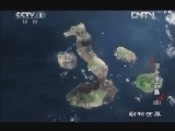 动物世界 《动物世界》 20121228 猎手争霸赛（四）