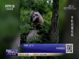 热线12 《热线12》 20180709